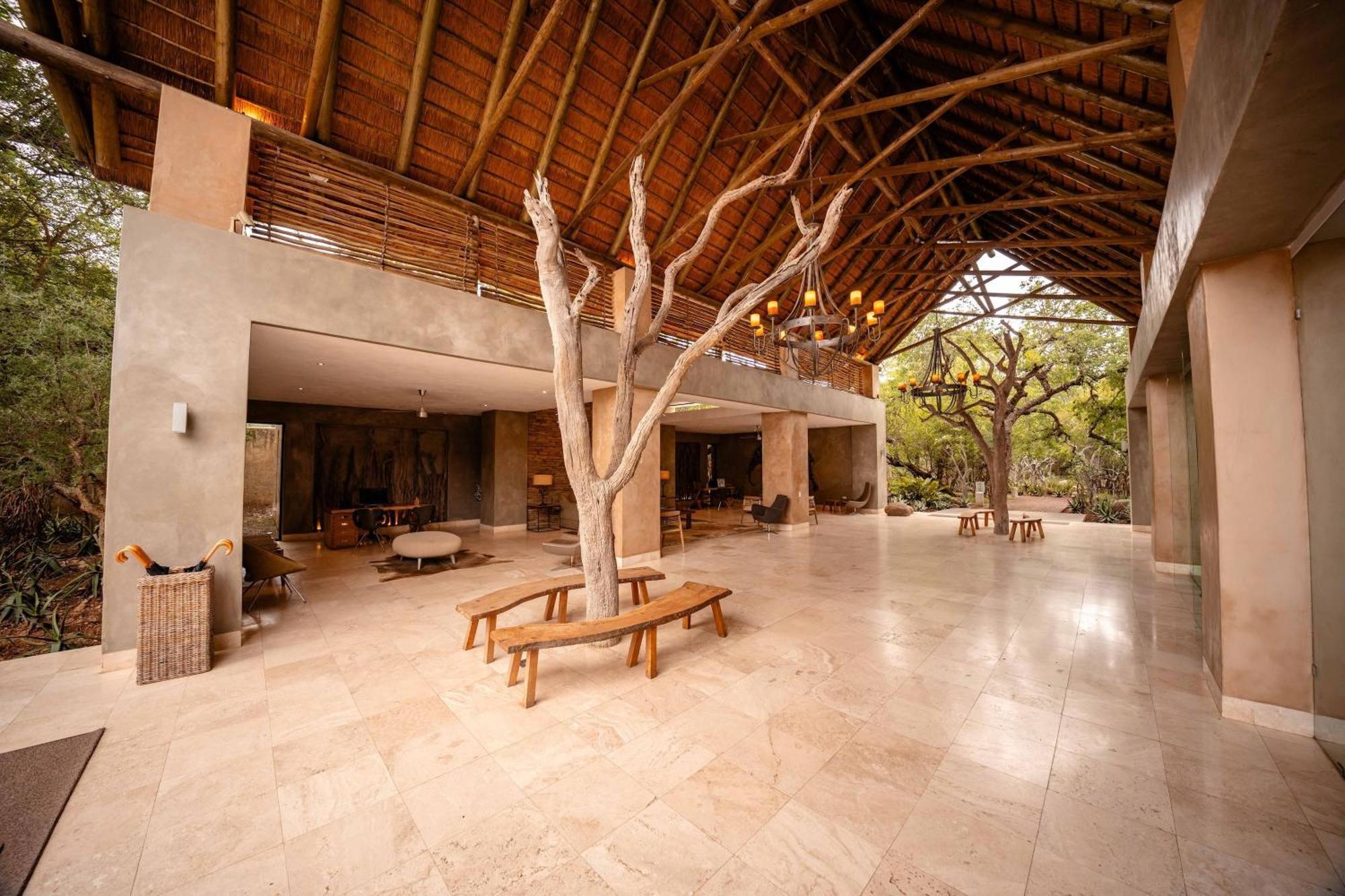Kapama Southern Camp Kapama Game Reserve Extérieur photo